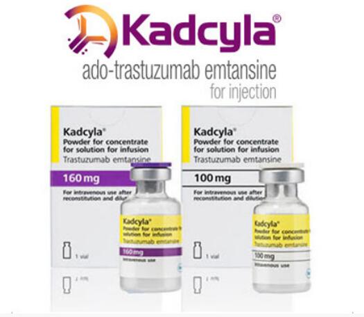 Ado-Trastuzumab Emtansine（T-DM1）