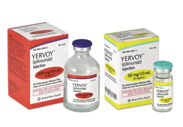 Ipilimumab/Yervoy