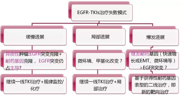 t7.png