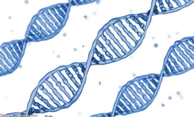 肿瘤微环境下，出国就医患者的生物学特征