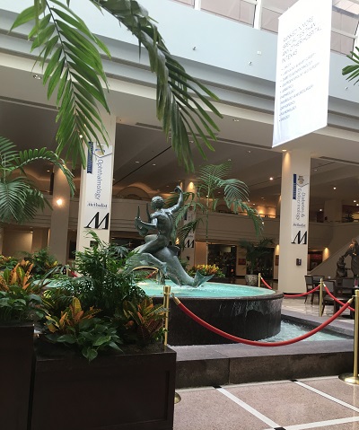 IMG_3502.JPG IMG_3502.JPG