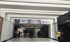 赴美看病 突变激活如何抑制转录因子