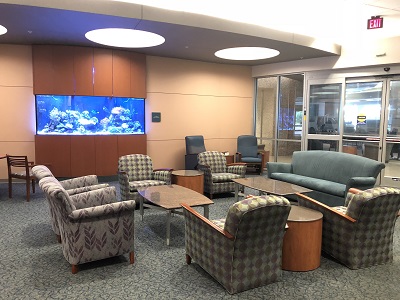 IMG_1342.JPG IMG_1342.JPG