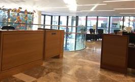 辛辛那提儿童医院 细胞分子与正常血管的关系