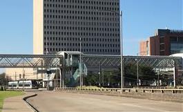 海外医疗 特定营养素可影响基因表达