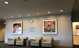 赴美就医 超声波检查有哪些诊断效益