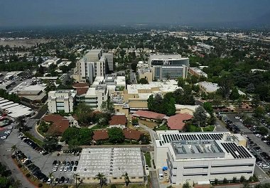 淋巴瘤患者收藏 美国希望之城专家解读淋巴瘤的治疗