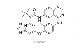 Tucatinib/妥卡替尼