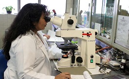 维生素A的衍生物能增强放射治疗的杀伤效果