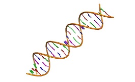 “垃圾DNA”序列在衰老和癌症中的潜在作用