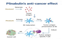 延长肺癌生存期+降低副作用，这个方案值得关注