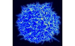 海外研究如何预测免疫疗法的生物标志物