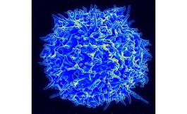 海外研究如何预测免疫疗法的生物标志物