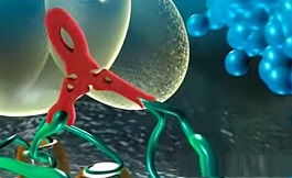 三阴乳腺癌：Leronlimab可使总生存率增加5-10倍