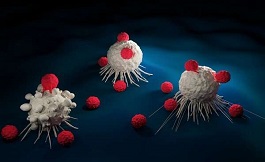 CAR T 细胞能提供内源性 RNA 以唤醒治疗