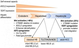 美国看病：关于儿童肝癌的遗传和表观遗传的起源