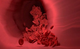 美国看病：海外有研究人员确定了血癌的新药物靶点