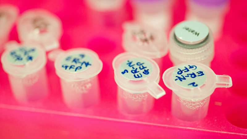 免疫系统.jpg 免疫系统.jpg