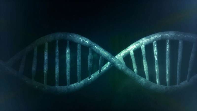 无细胞 DNA.jpg
