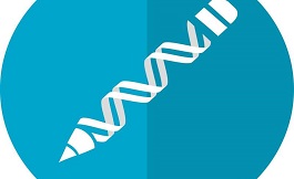 关于 CRISPR 基因编辑与突变细胞的联系