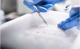 海外医学探索：有关肿瘤的相关进化
