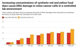 合成染料是否对结直肠构成健康风险