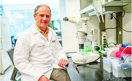 生物学悖论为癌症的奥秘提供了新见解