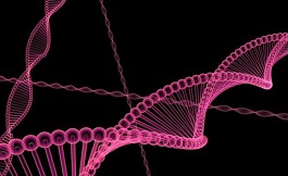 DNA 的二级结构与癌症有关！