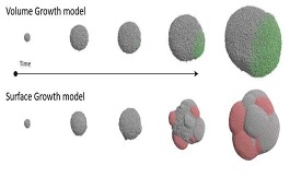 科学发现肿瘤生长方式会影响其基因