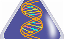 RNA 如何解除白血病中的坏角色蛋白