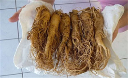 研究表明生脉饮可改善放射治疗效果