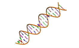鉴定 DNA 修复基因，有望改善癌症治疗