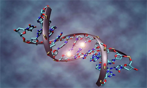 DNA 甲基化.png