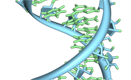 线粒体中的 RNA 修饰能促进癌症侵袭性扩散