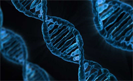 DNA 拷贝数改变会影响黑色素瘤转移 RNA 回路