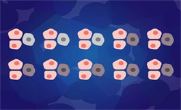 科学家确定了在大多数癌症中开启的关键基因