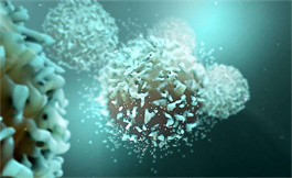 血管免疫母细胞性 T 细胞淋巴瘤的潜在新疗法