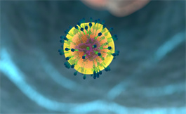 疫苗增强工程 T 细胞反应可有助于根除实体瘤