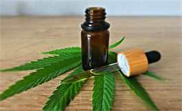 大麻产品对减少癌症儿童症状是否安全有效