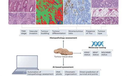 生物标志物.jpg 生物标志物.jpg