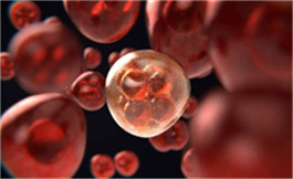 Zanubrutinib 与其他共价抑制剂相比转换率较低