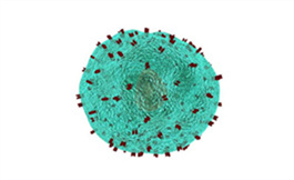 Zanubrutinib 在高风险再灌注 CLL 中疗效趋势更有利