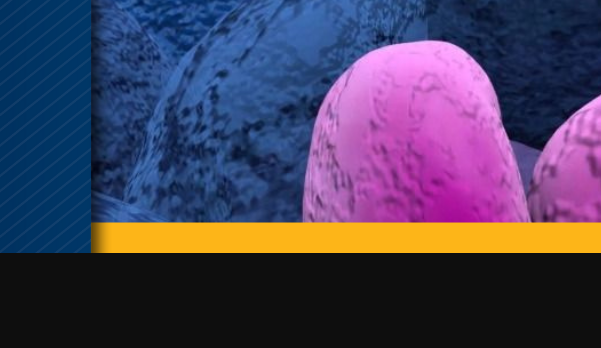搜狗高速浏览器截图20251023160345.png