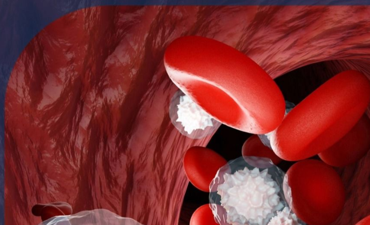 接受口腔癌症诊断后的应对与信息指南