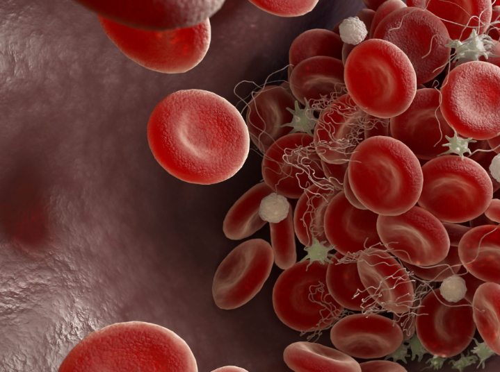 搜狗高速浏览器截图20251107164119.png 搜狗高速浏览器截图20251107164119.png