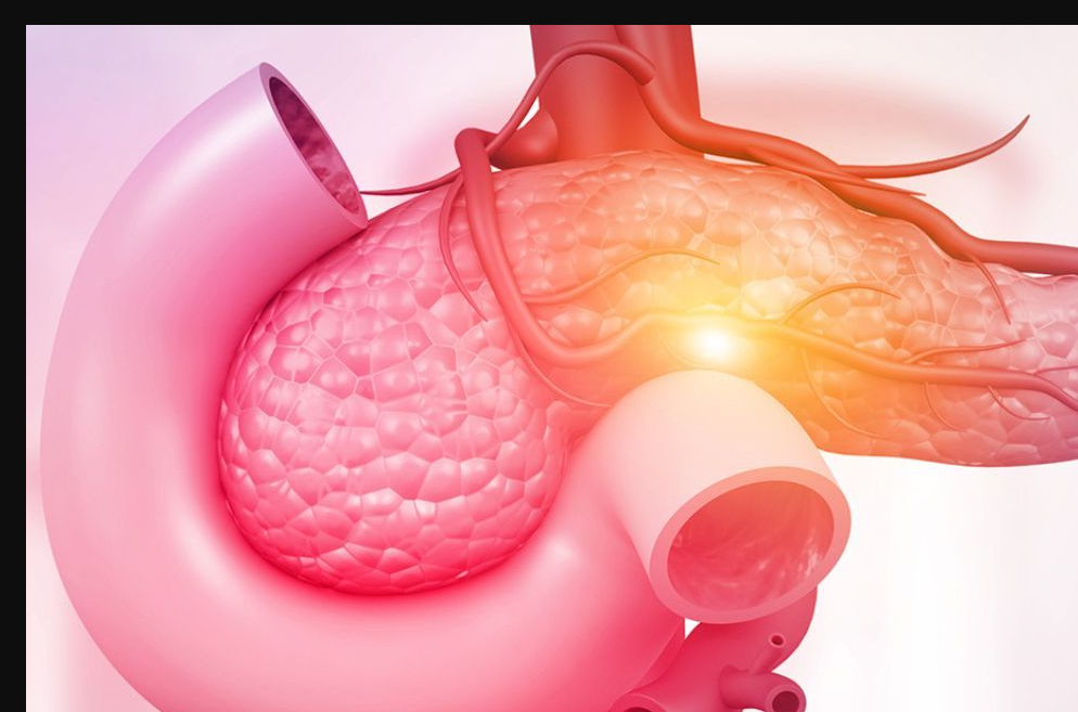 搜狗高速浏览器截图20251112165633.png 搜狗高速浏览器截图20251112165633.png