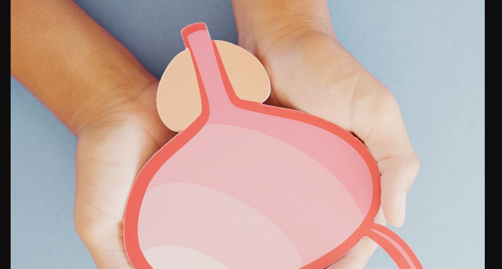 搜狗高速浏览器截图20251114082354.png 搜狗高速浏览器截图20251114082354.png