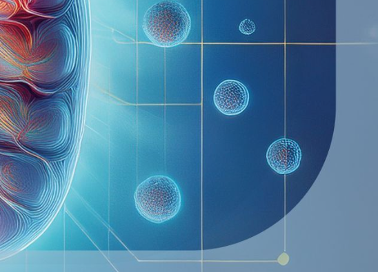 Tarlatamab联合疗法在广泛期肺癌治疗中的成效与安全性