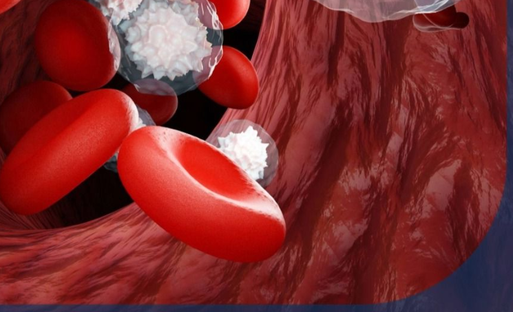 HARMONi - 6研究整体成果