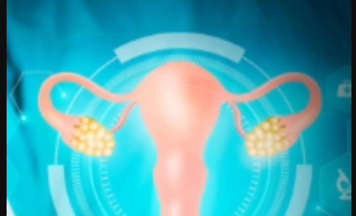 搜狗高速浏览器截图20251120154241.png 搜狗高速浏览器截图20251120154241.png